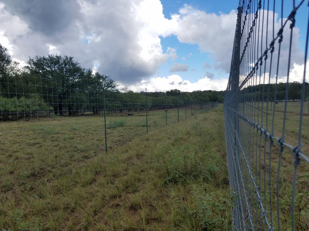 Exotic game fencing enclosure for high-fence ranch near Brownwood TX